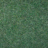 Ковролин Tapisom 900 Green - 900 419002009 00017 фото 1 | FLOORDEALER